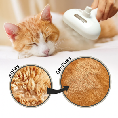 CEPILLO VAPOR DE MASAJE PARA MASCOTA 3 EN 1